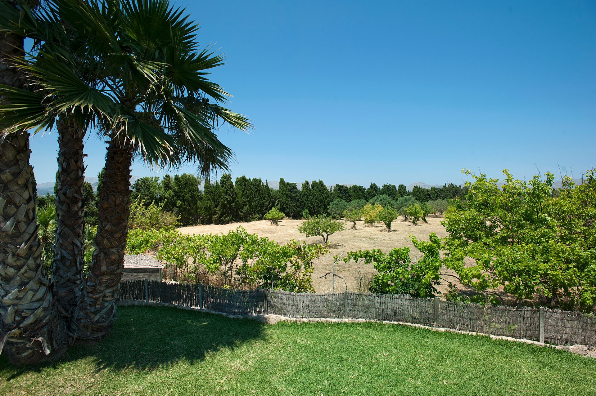 Villa Conxa Bisanyes, Pollensa, Maiorca