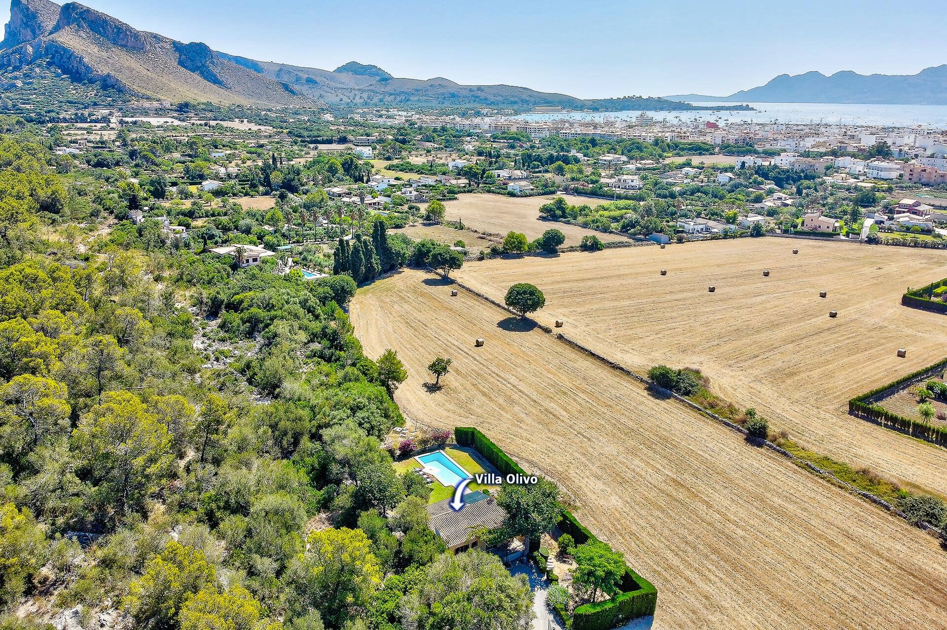 Villa Olivo, Puerto Pollensa, Maljorka