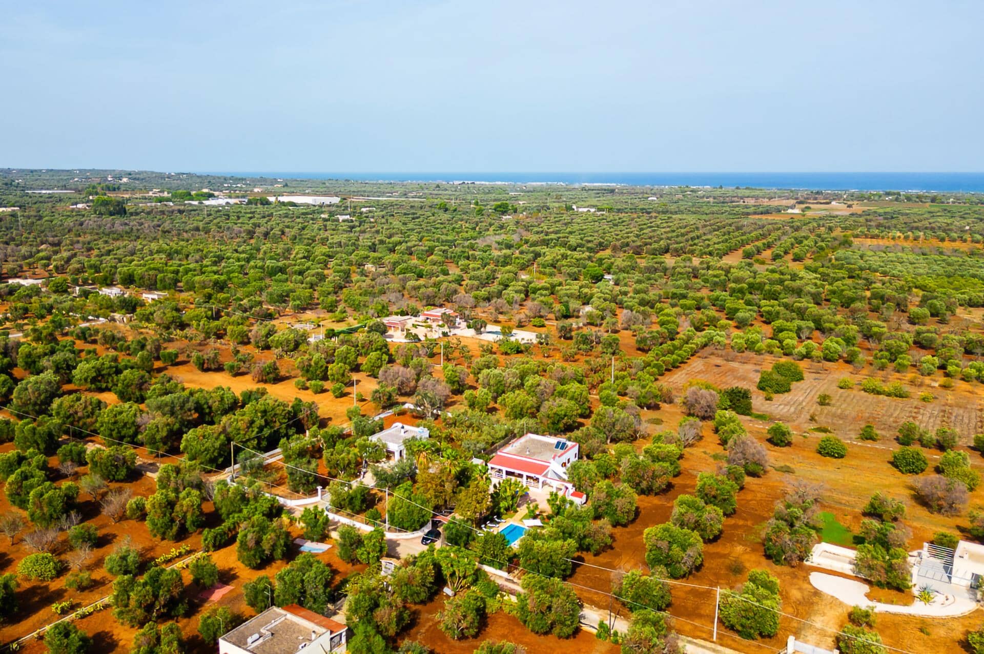 Villa Olivier, Carovigno, Apulija
