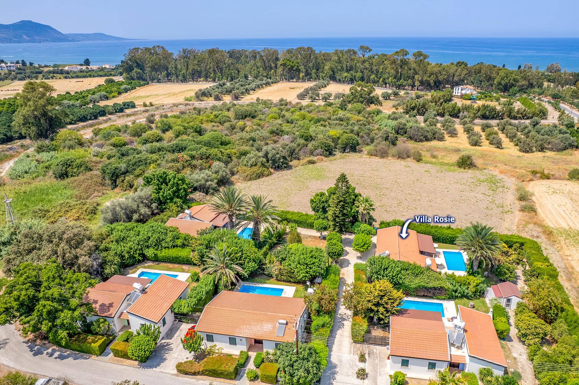 Villa Rosie, Polis, Chypre